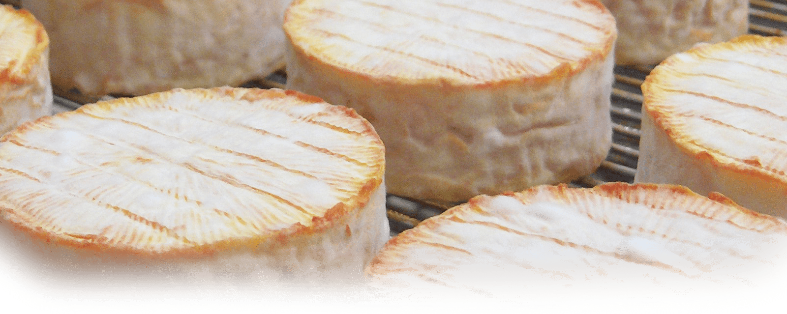 Close-up of MouCo ColoRouge rounds on a stainless steel ripening rack—showcasing their vibrant orange rind and delicate, powdery finish.