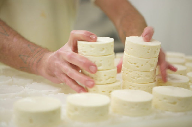 Cheese Ripening: A MouCo cheesemaker racks fresh rounds—stacking the future, one soft wheel at a time.