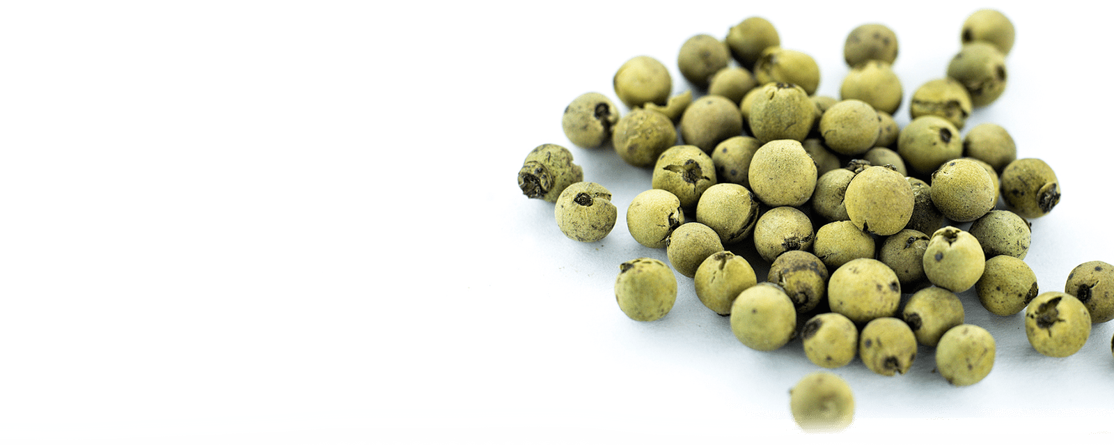 Whole green peppercorns used in MouCo PepBert, adding bright, aromatic flavor to this Colorado-made cheese.