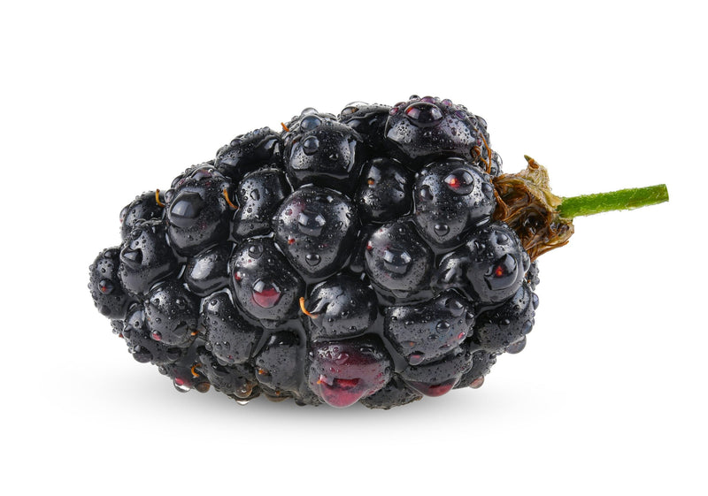 Warm wheel of MouCo Ashley cheese drizzled with honey, topped with walnuts and thyme, served with toasted baguette slices and fresh blackberries.