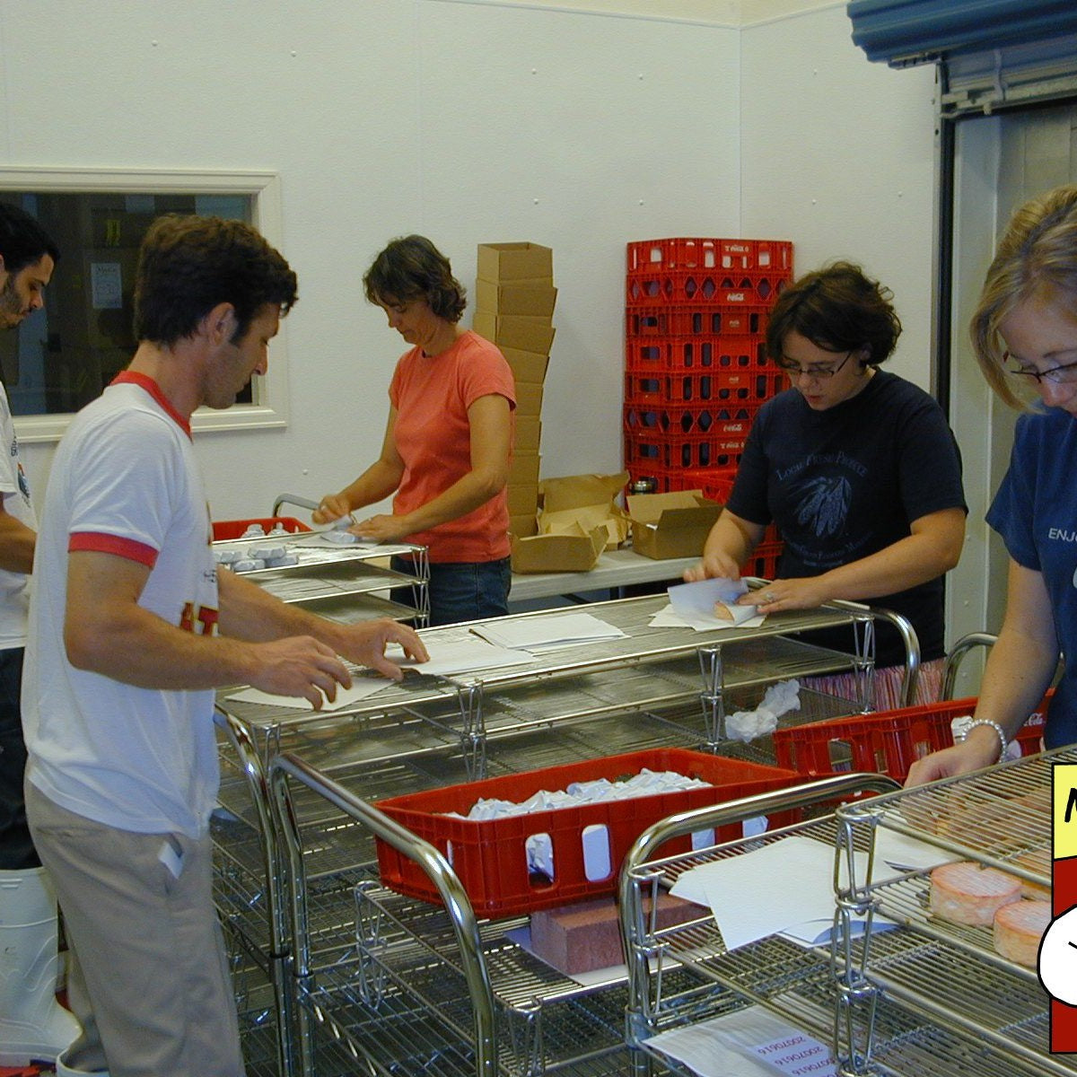 Packaging: One week before the wrapping machine arrived—five of us spent three days hand-wrapping the same amount of cheese we now wrap in four hours. A serious taste of scale-up life.
