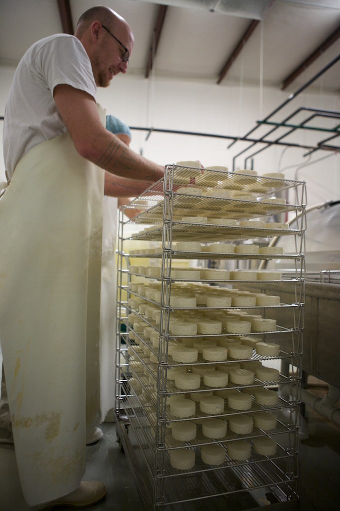 Cheese Ripening: MouCo rounds getting racked with care—hundreds of cheeses lining up for their slow, delicious transformation.