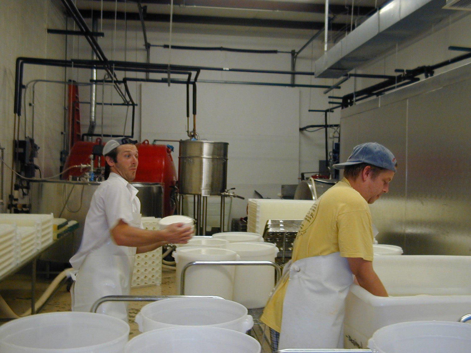 Salting: Josh and Robert hand-salting cheese in the early MouCo days—back when there was just one unit, a double-size aging room, and not quite enough space. Funny camera moment...