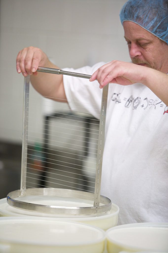 Cutting: Robert cutting curd one form at a time—this hands-on method was MouCo’s way until around 2016, requiring focus, finesse, and a steady hand.