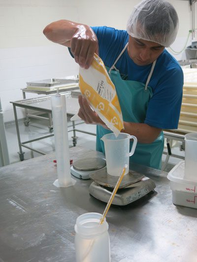 Cheese Making Begins: A MouCo cheesemaker weighs out culture—precision at the start of every great batch.