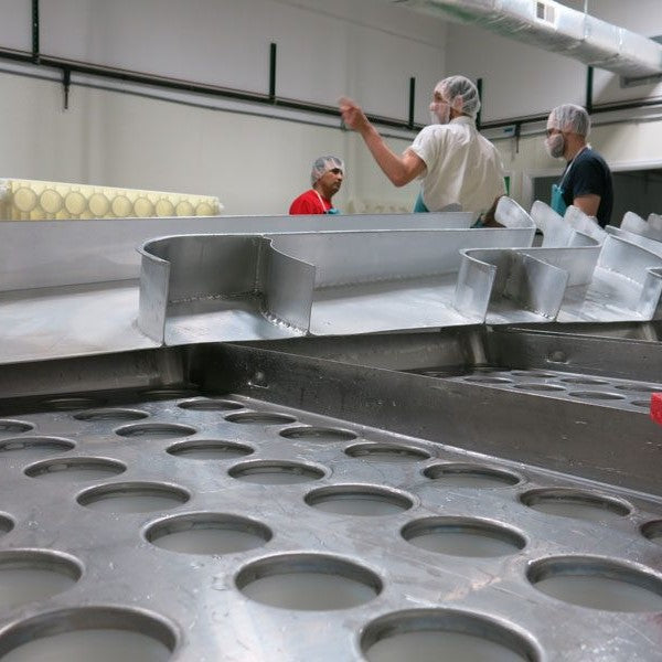 Forming: Close-up of the curd delivery system—filling funnels in front, stainless shoots behind, and three MouCo cheesemakers deep in discussion as the curd flows.
