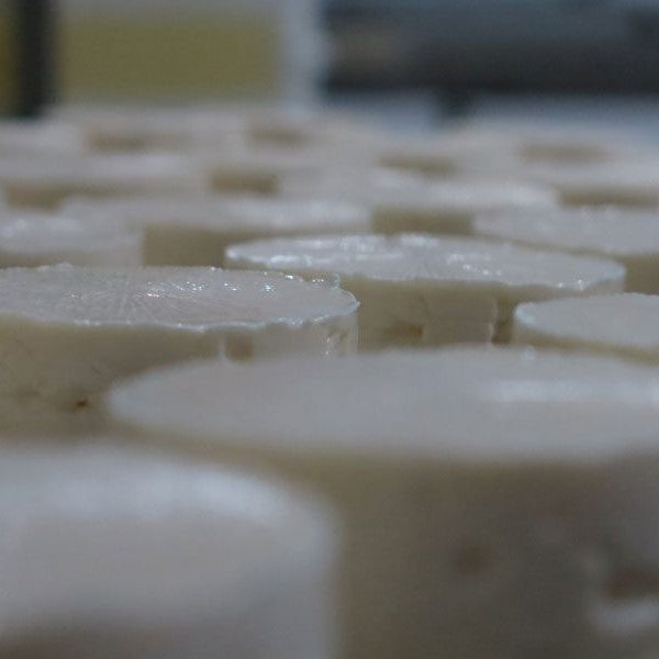 Cheese Ripening: Young MouCo cheeses resting on aging racks—orderly rows quietly transforming with time, care, and a little microbial magic.