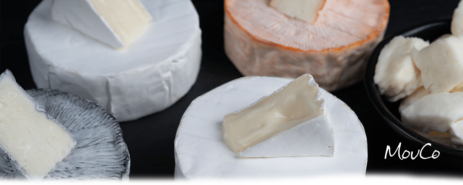 Header image featuring MouCo Camembert, ColoRouge, Ashley, and cheese curds, showcasing the core lineup of award-winning Colorado-made cheeses.
