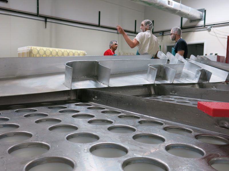 Close-up of form-filling funnels used to direct cheese curds into molds at MouCo Cheese Company.