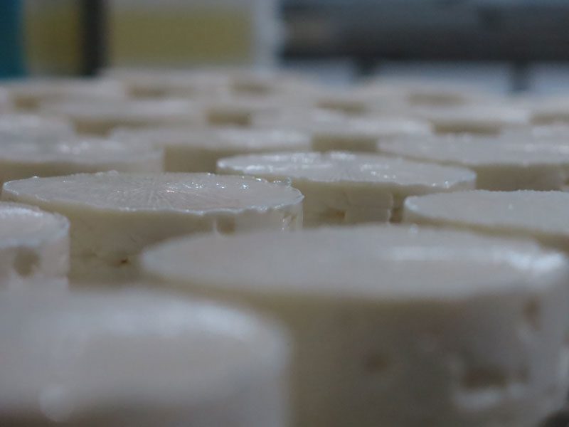 Close-up of MouCo soft-ripened cheese just out of the salt basin and forms, before ripening.