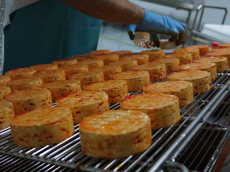 Close-up of a rack of MouCo ColoRouge cheeses after inoculation.