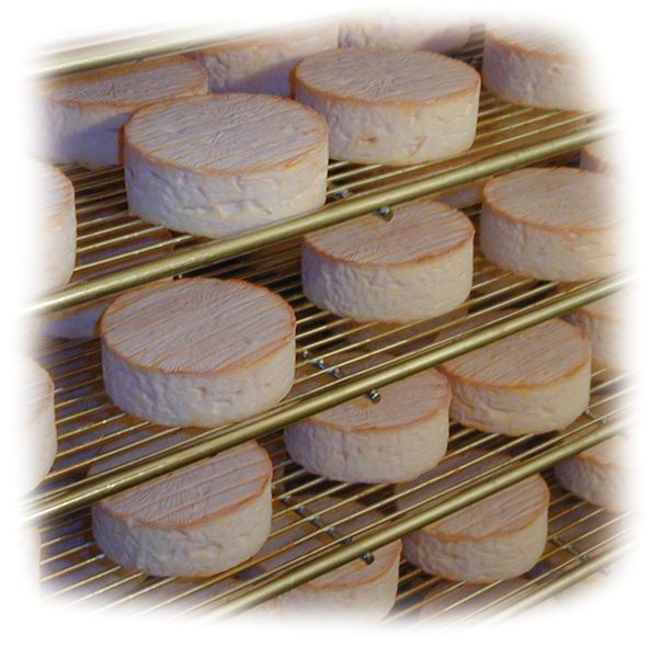 MouCo ColoRouge cheese rounds on stainless steel racks before wrapping.