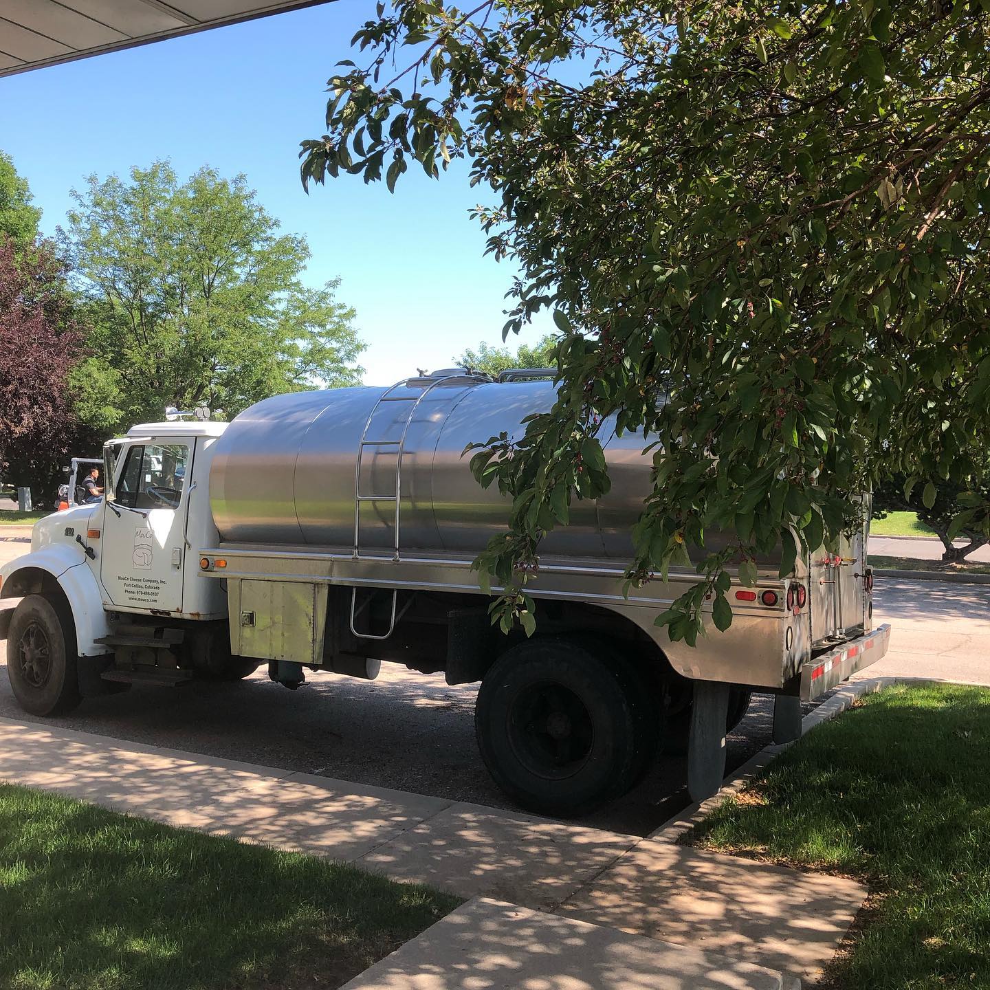 Chuck the milk truck in front of MouCo on a sunny summer day.